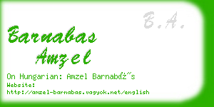 barnabas amzel business card